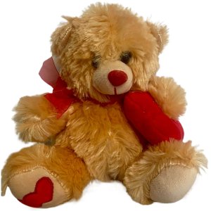 Soft Teddy "heart"